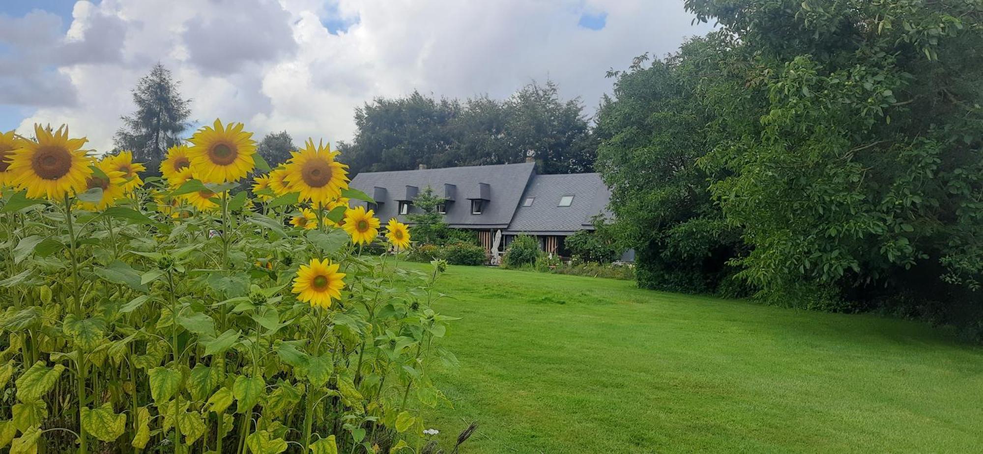 Le lit de la Saâne Auzouville-sur-Saâne Exterior foto